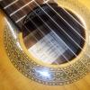 La chitarra di fabbrica di partenza: una Ibanez ...